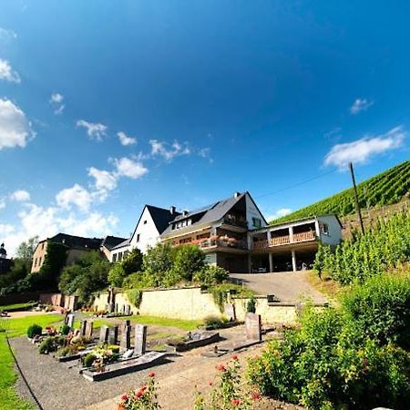 Chateau-De-La-Moselle Kinheim Exterior foto
