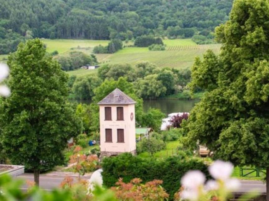 Chateau-De-La-Moselle Kinheim Exterior foto