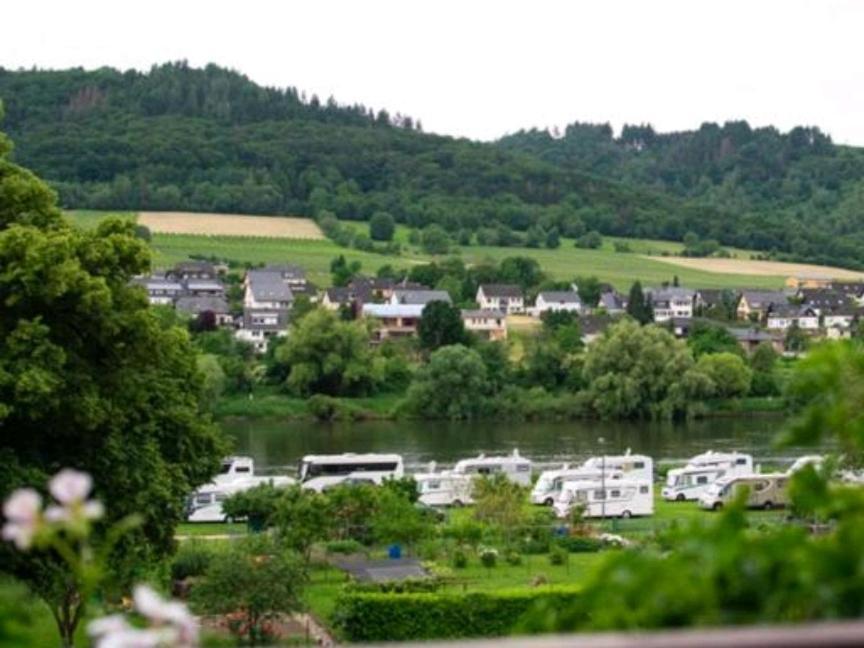 Chateau-De-La-Moselle Kinheim Exterior foto
