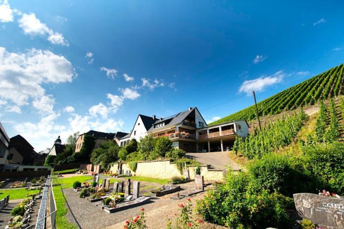Chateau-De-La-Moselle Kinheim Exterior foto
